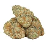94 Monkey Strain: Effects, Aroma & Balanced Hybrid Benefits