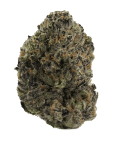 Gush Mintz delivers sweet, earthy flavors with a relaxing, euphoric high.
