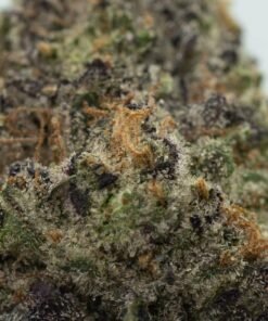 Gush Mintz delivers sweet, earthy flavors with a relaxing, euphoric high.