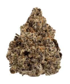 Lizard Burger Strain – Effects, Flavor & Review