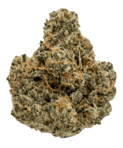 Super Buff Cherry Strain – Flavor, Effects & Genetics